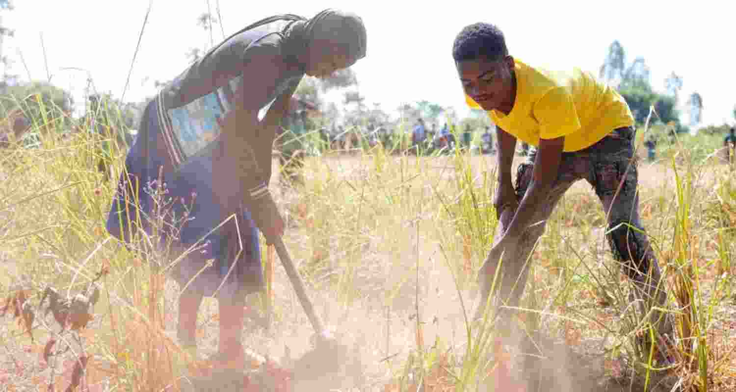 Prolonged droughts in Malawi have caused severe damage to crops and decimated harvests. Image via UNICEF.