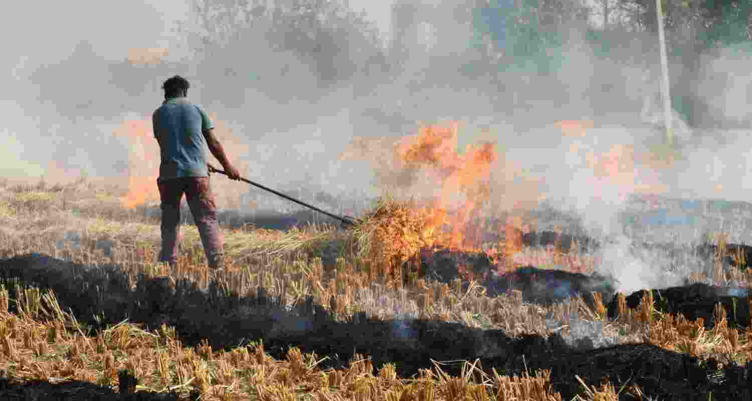 Farmers to face higher fines as stubble burning penalties rise.