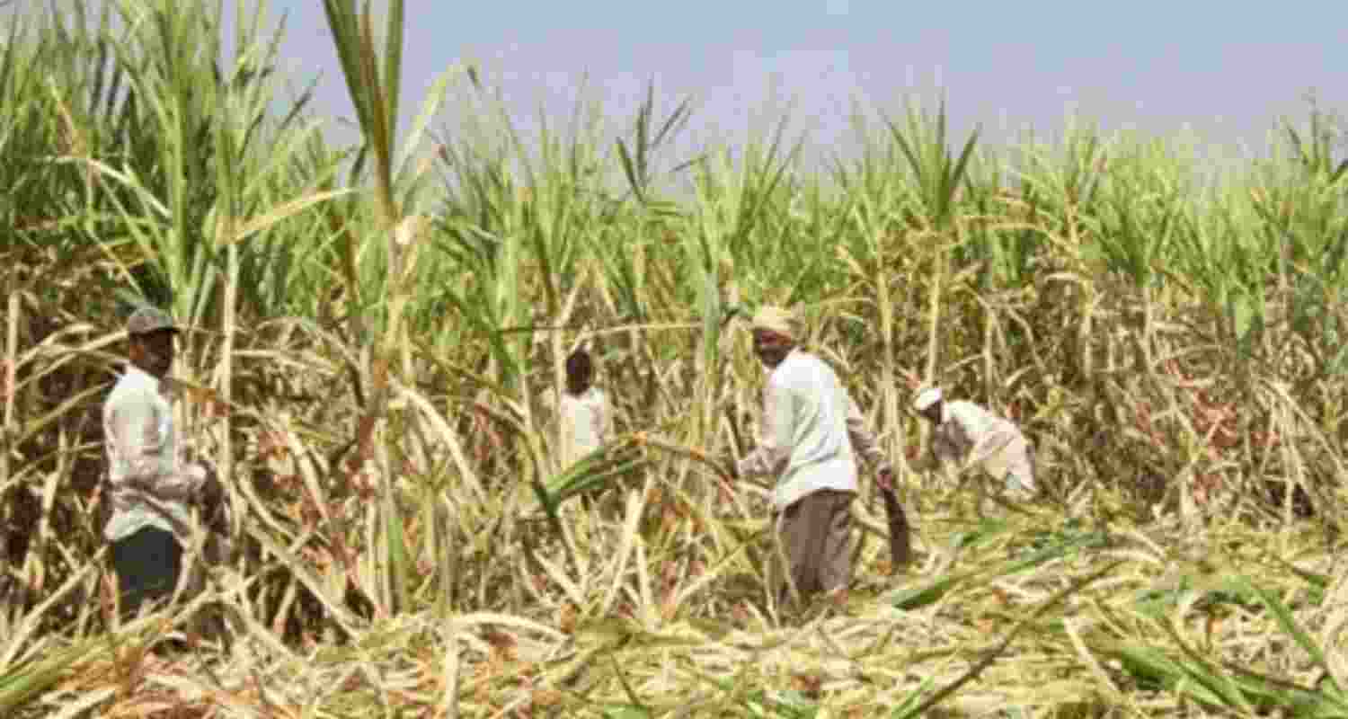 Representational Image. Representational Image.