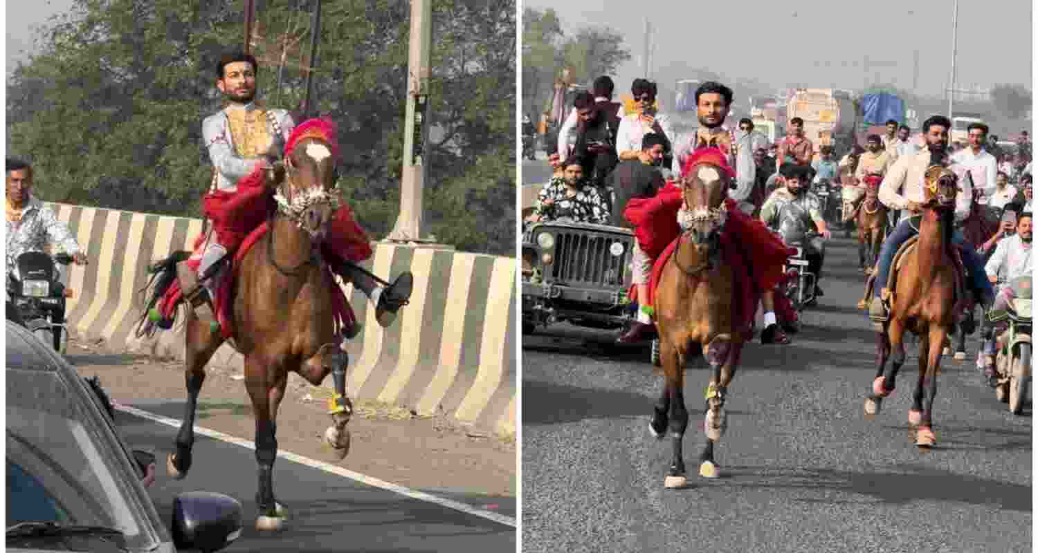 Grand baraat with 100 horses creates a spectacle in Gujarat.