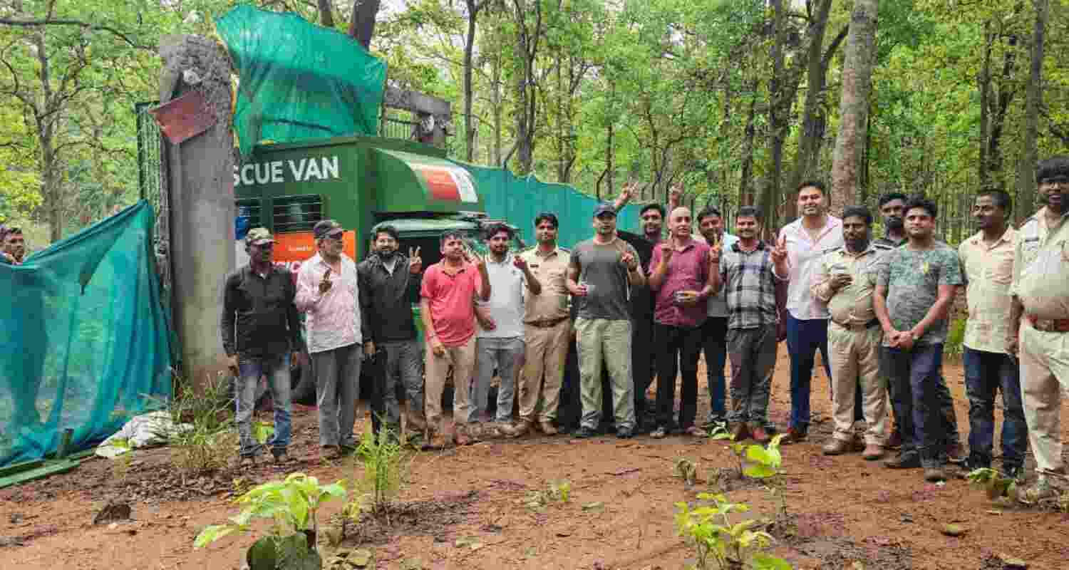 Tiger Rescued from Ranchi House Released in Palamu.