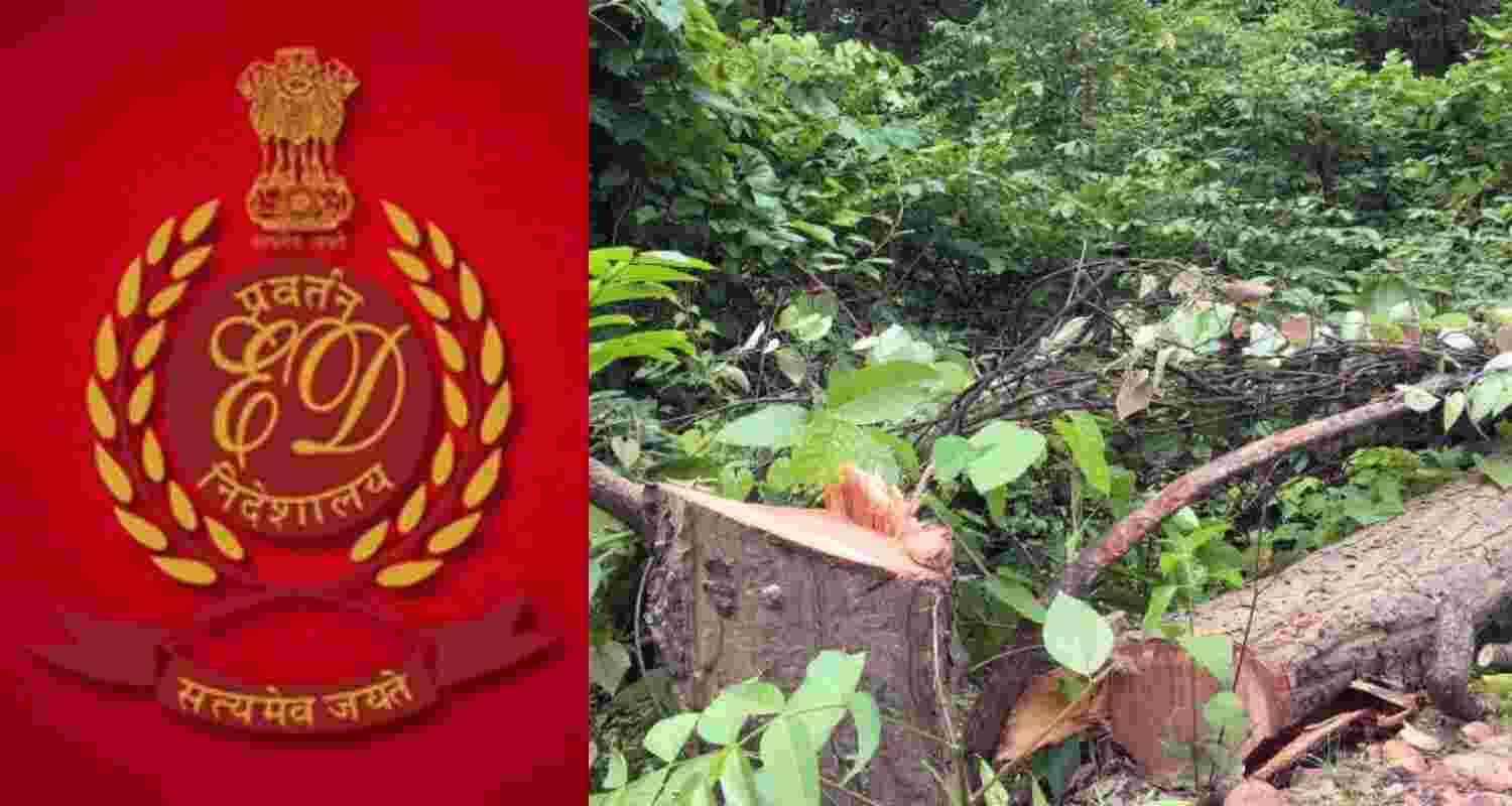 Bokaro Forest Land Scam: ED Eyes Money Laundering Angle.