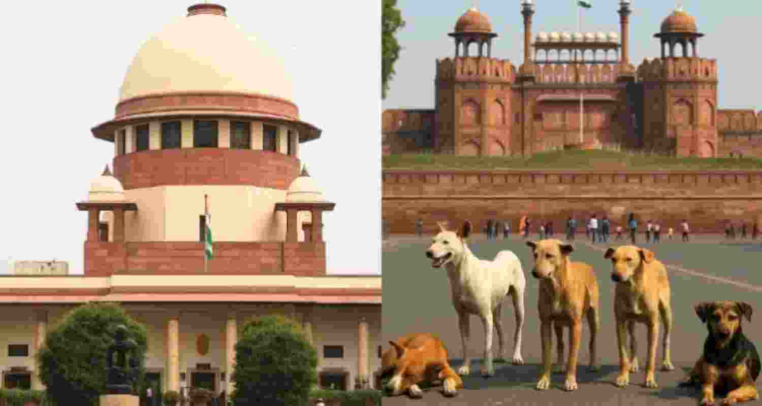 Dog menace case: SC refuses to exempt Chief Secys' presence