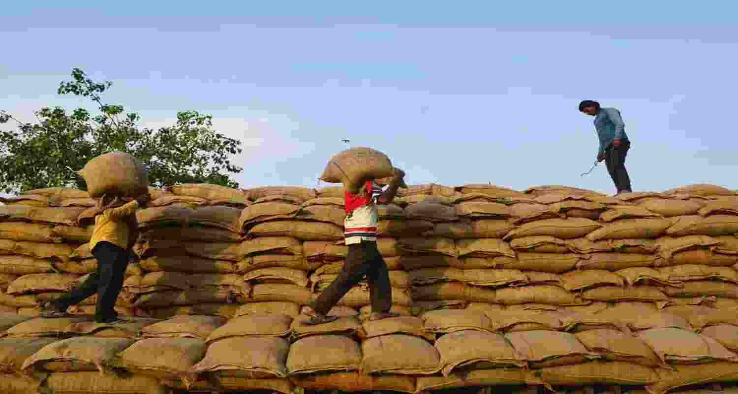 Wheat procurement target lowered to 30 MT for 2025-26 season