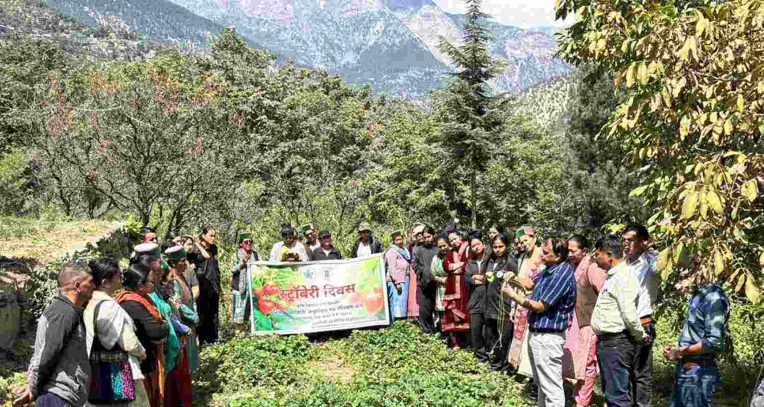 The Regional Horticultural Research and Training Station (RHRTS), Sharbo, and Krishi Vigyan Kendra (KVK), Kinnaur organised a Strawberry Day celebrations. 