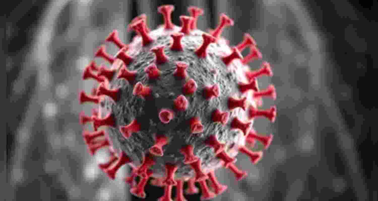 Jharkhand prepared to face HMPV virus: Health Minister