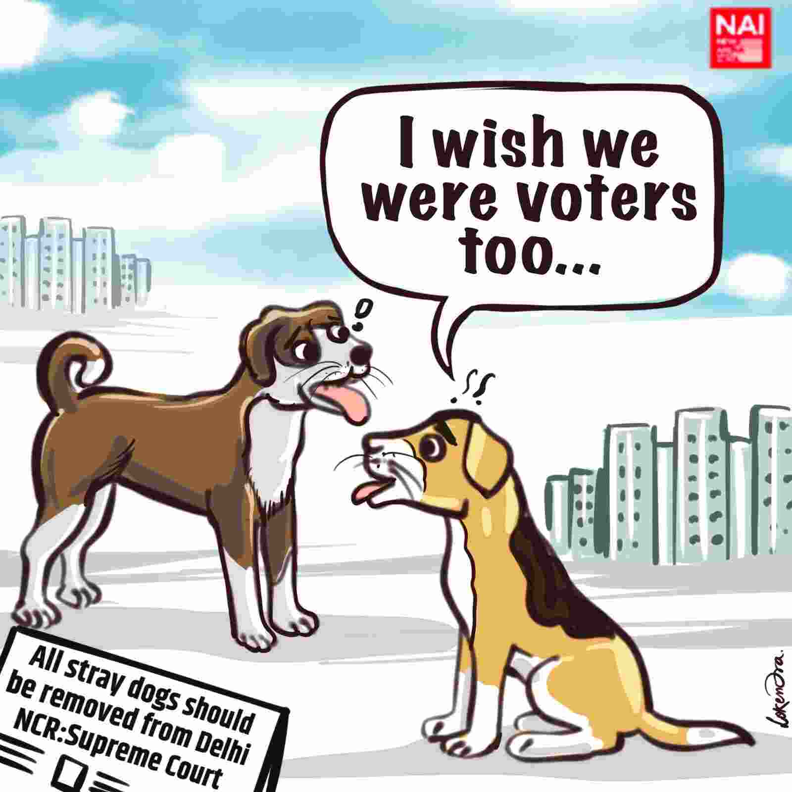Dogs To Democracy, SC has a Long Way to Travel!
