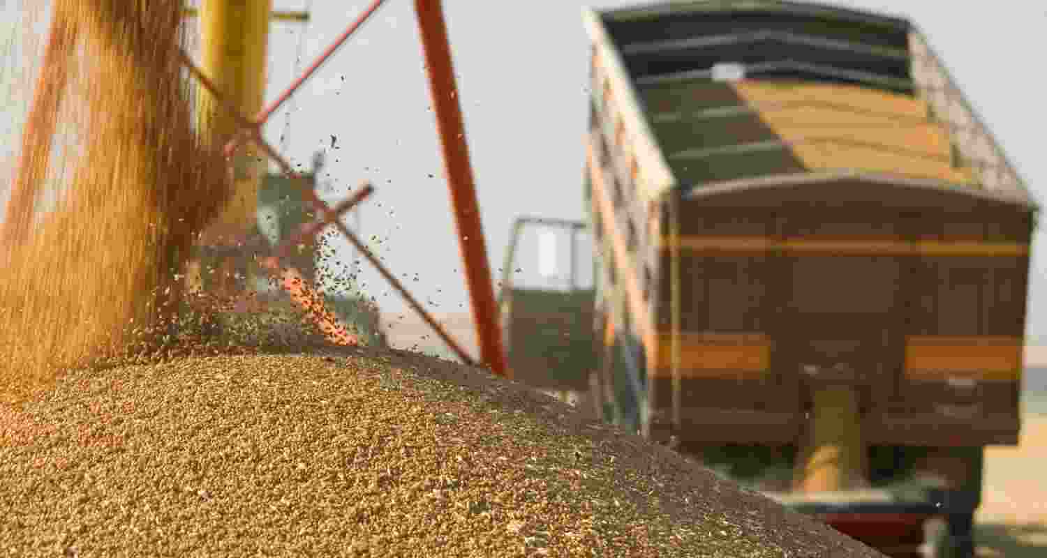 Mann flags off free wheat seeds for flood-hit Punjab farmers