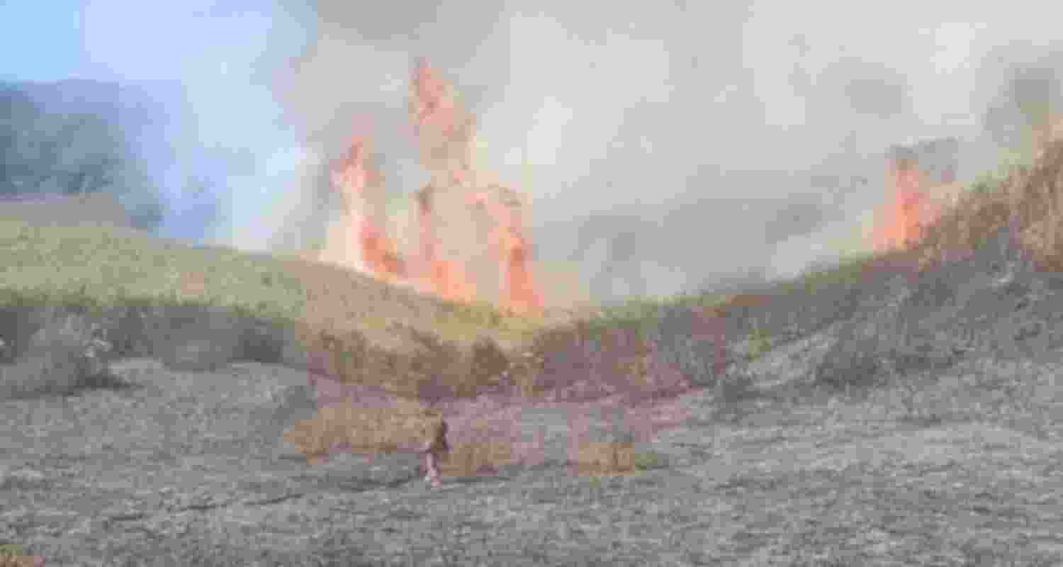 Nagaland bans trekking as wildfire nears Dzukou Valley