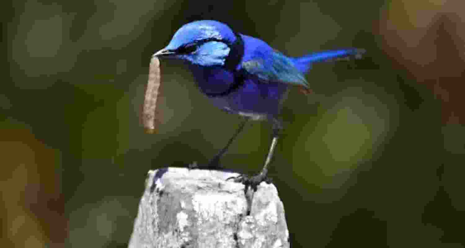 Representative image.