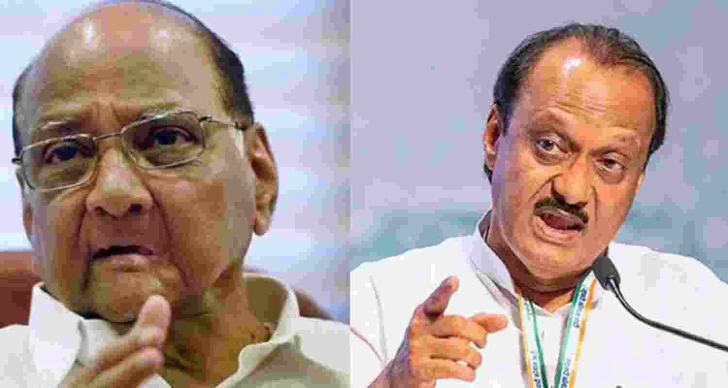 Ajit Pawar's outfit beats NCP rival faction in 29 seats
Ajit Pawar's outfit beats NCP rival faction in 29 seats