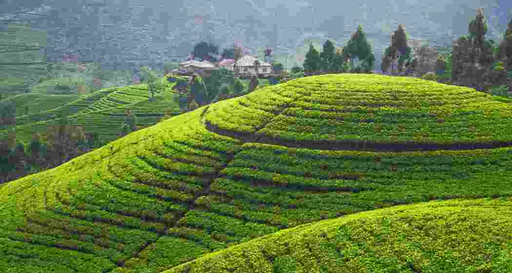 Image for representative use only. Image for representative use only.