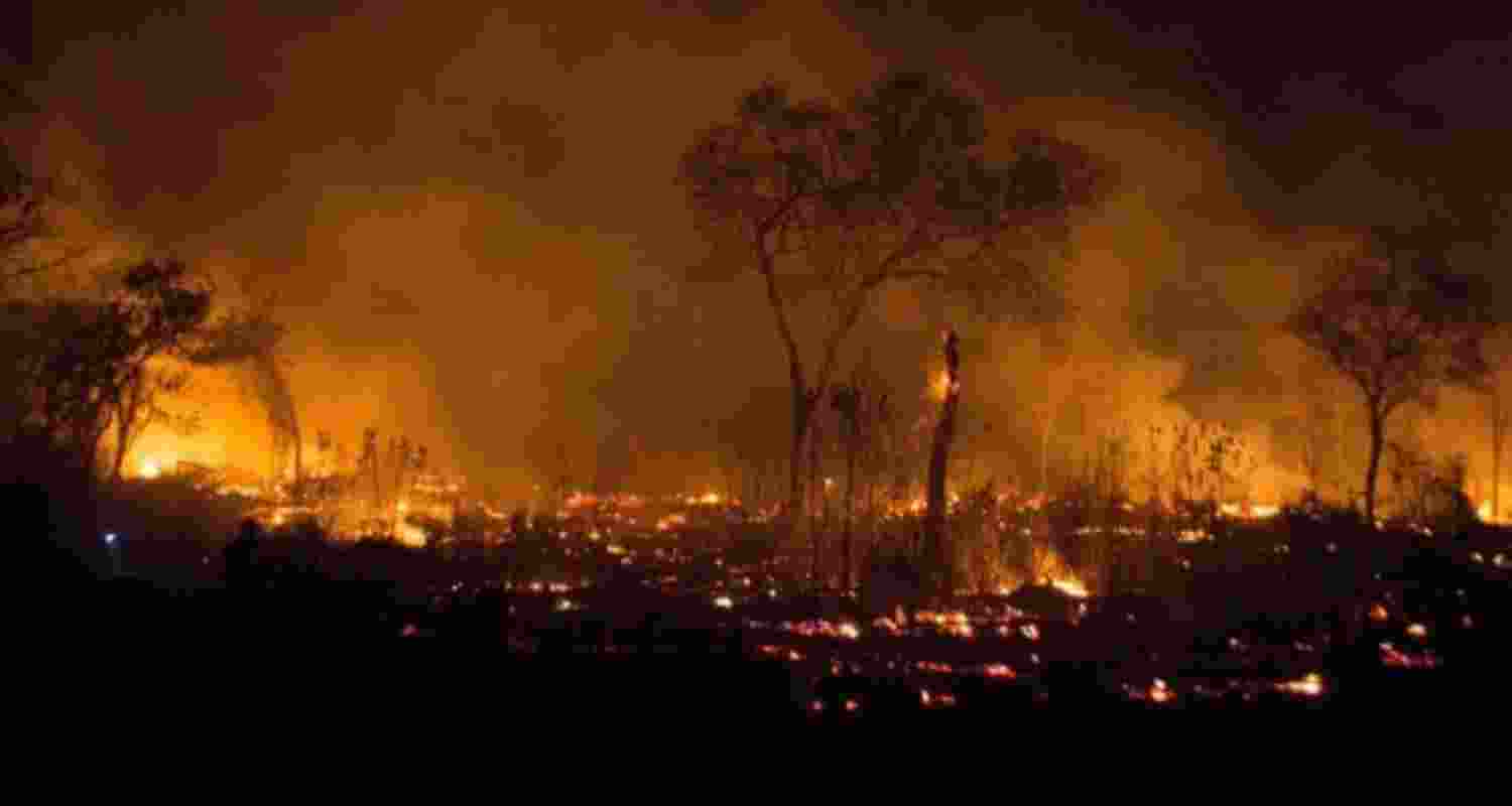 Bolivia declares national emergency over forest fires
Bolivia declares national emergency over forest fires