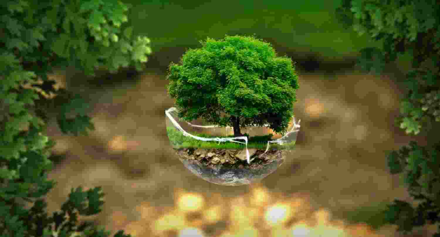 Can AI solve environmental issues without harm? Can AI solve environmental issues without harm?