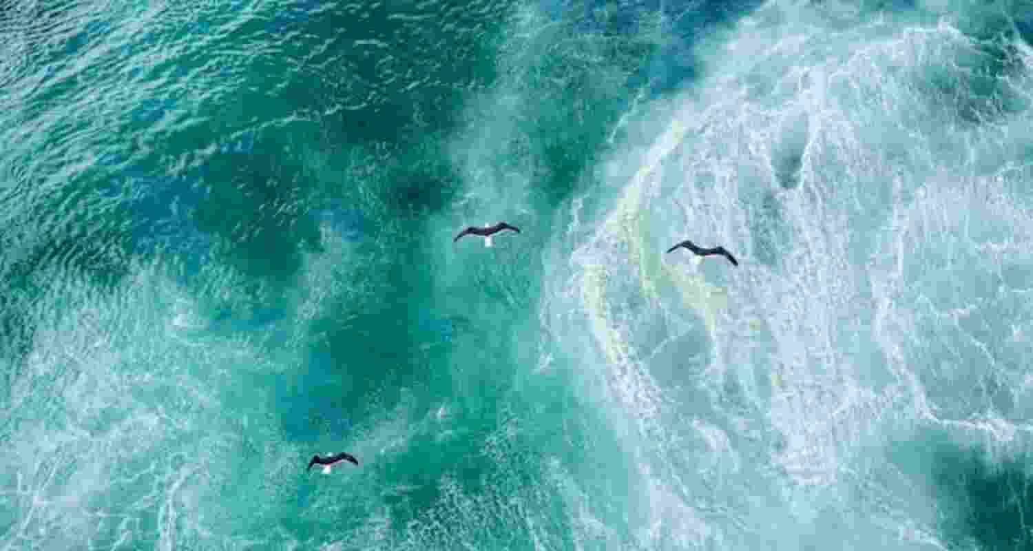 How heated North Atlantic Ocean spawned Europe’s hellish summer How heated North Atlantic Ocean spawned Europe’s hellish summer