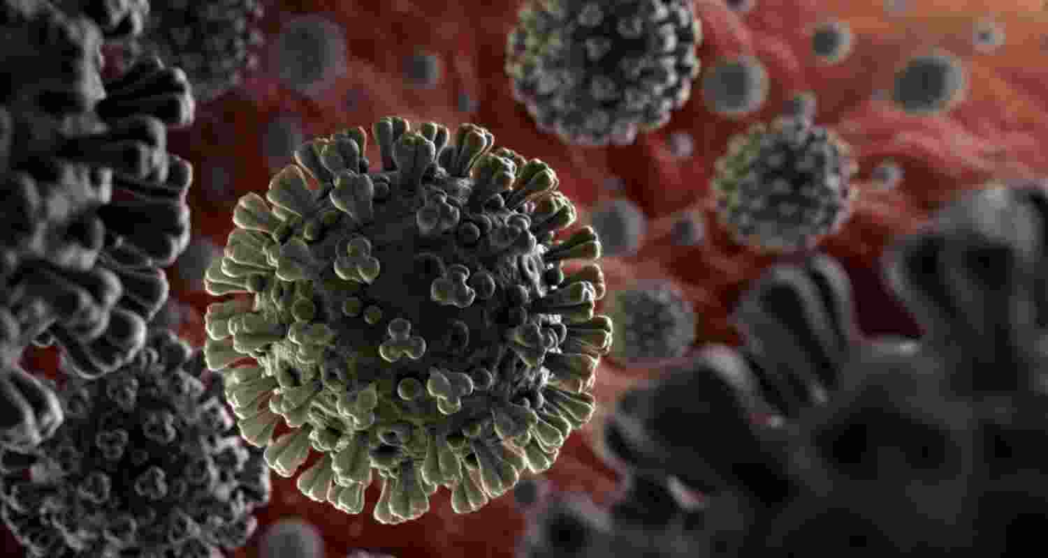 Covid still kills 1,700 people a week globally: WHO Covid still kills 1,700 people a week globally: WHO