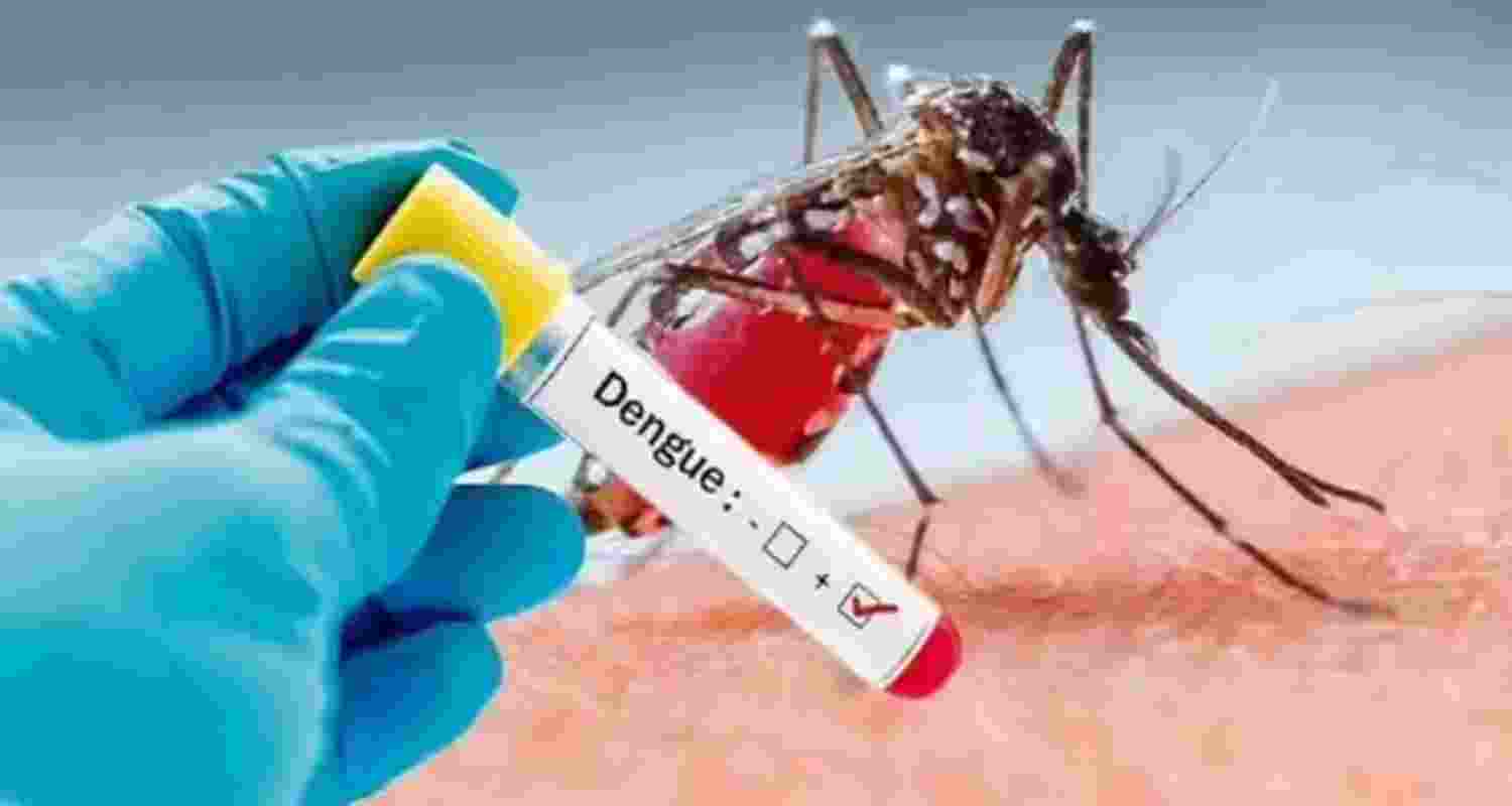Delhi logs highest dengue cases in five years: MCD Delhi logs highest dengue cases in five years: MCD