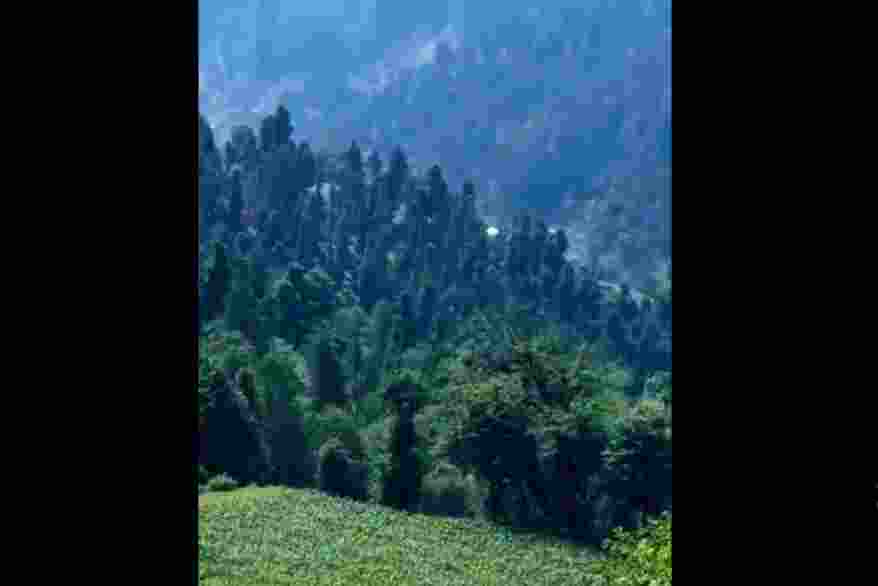 The terrorists opened fire from their mud house hideout when police forces supported by security personnel initiated search operations in the Sinoo panchayat. The terrorists opened fire from their mud house hideout when police forces supported by security personnel initiated search operations in the Sinoo panchayat.