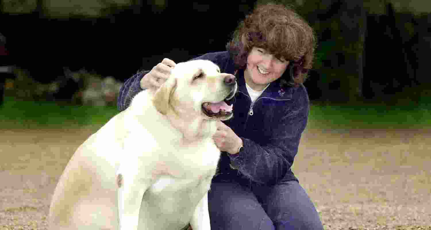 Representational image. Representational image.