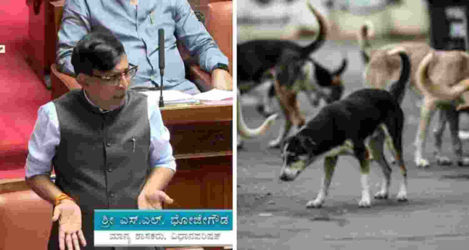 "We had mixed something with meat and fed about 2800 dogs," said SL Bhojegowda. "We had mixed something with meat and fed about 2800 dogs," said SL Bhojegowda.