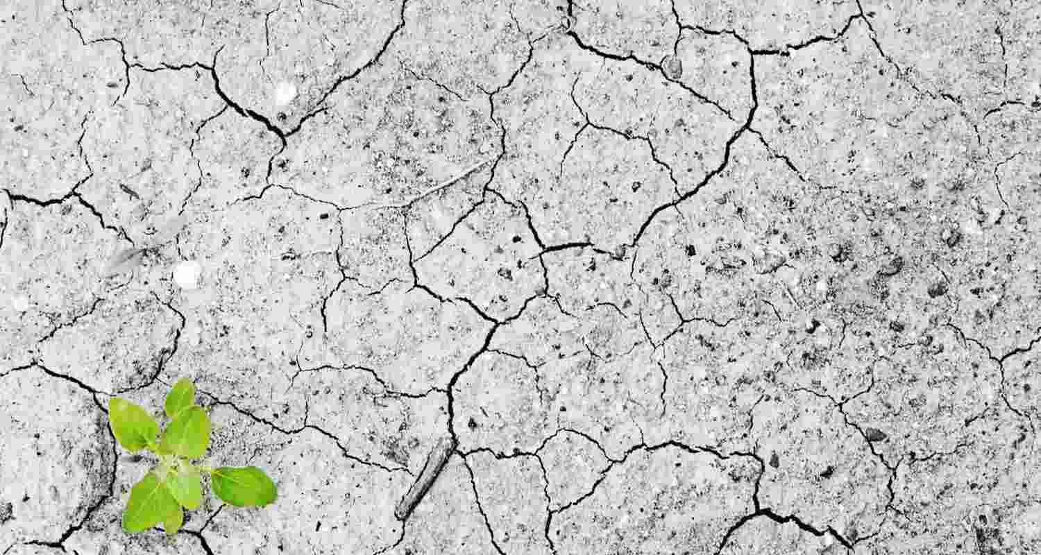 In last 40 yrs, droughts became 40 per cent more severe In last 40 yrs, droughts became 40 per cent more severe