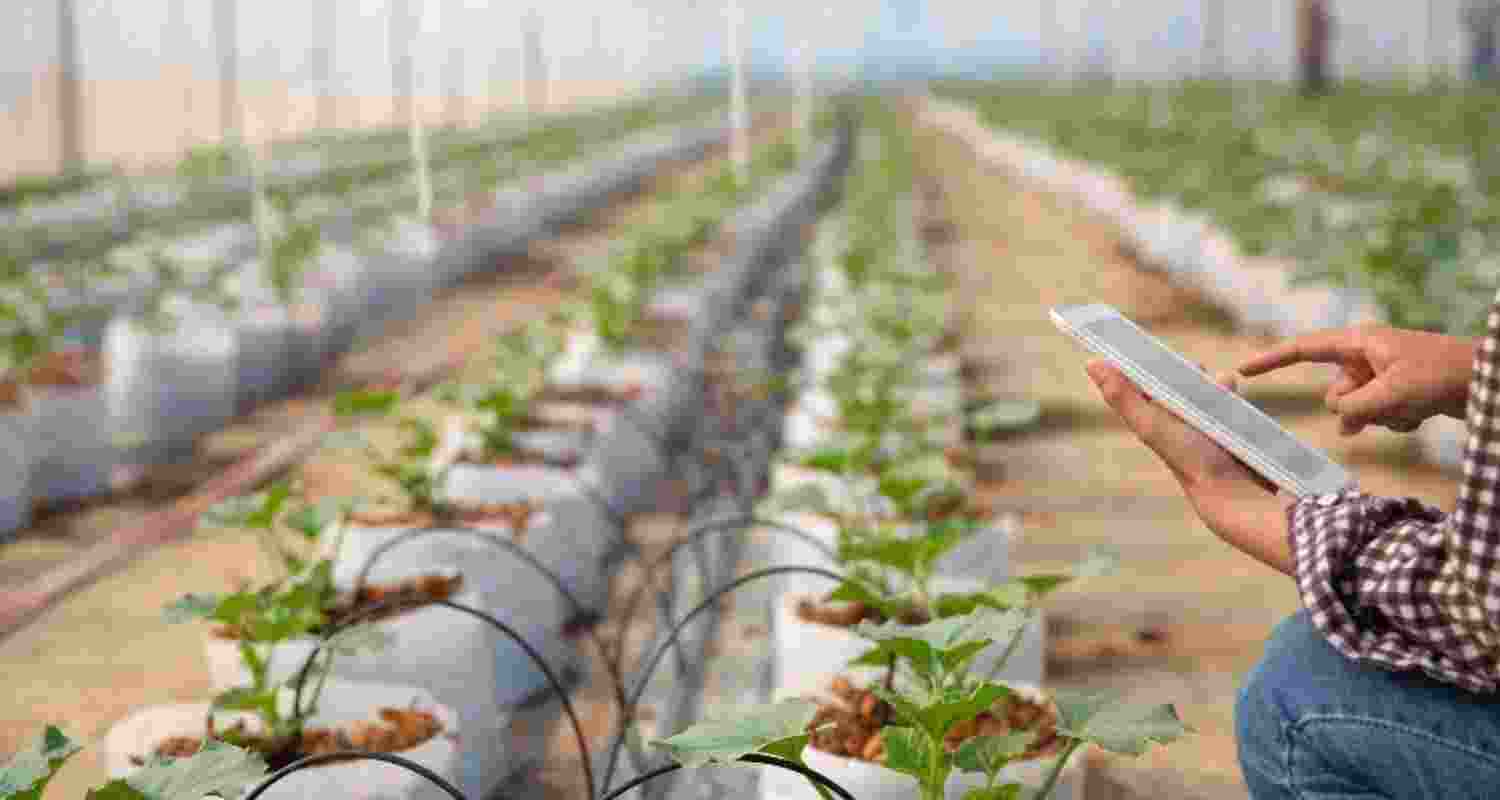 Representational image. Representational image.