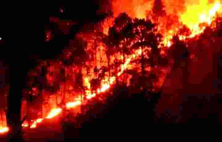 Say only IAF helicopters can help put out forest fires in Udhampur-Rajouri. Say only IAF helicopters can help put out forest fires in Udhampur-Rajouri.