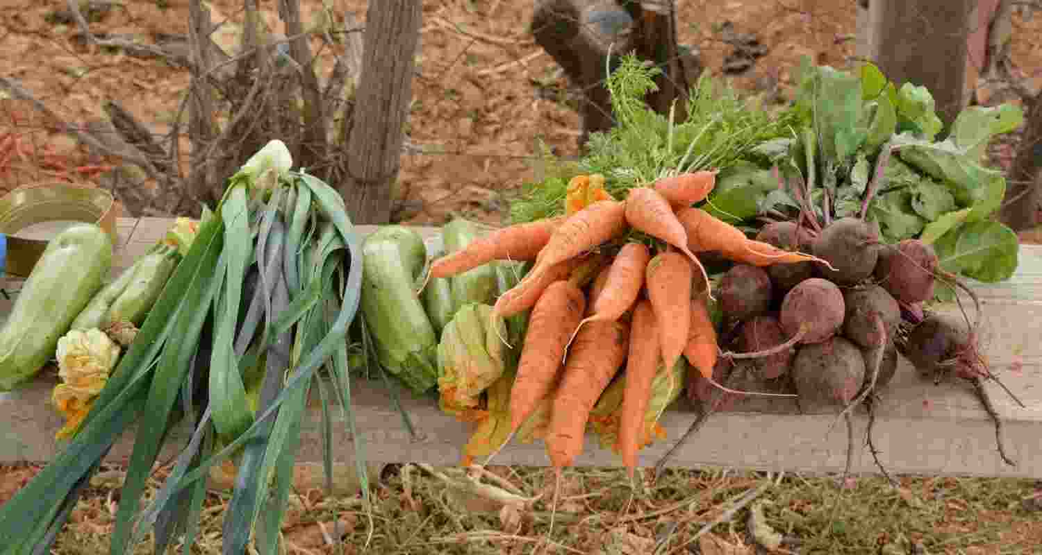 Representative image. Representative image.