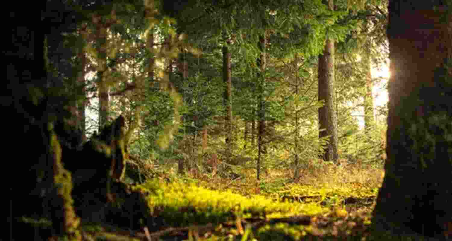 A representative image. A representative image.