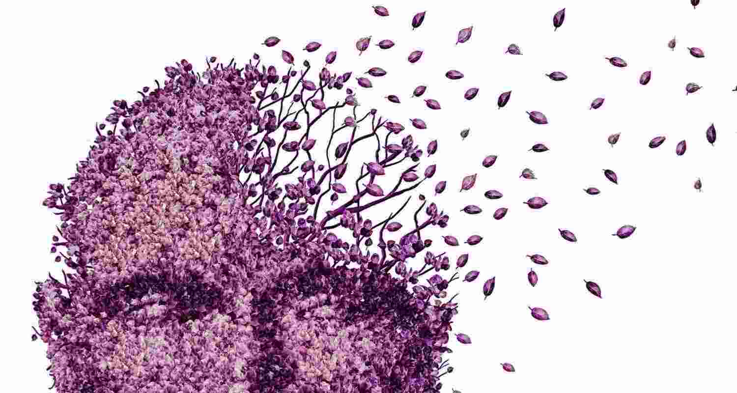 The cerebrospinal fluid not only helps cushion the central nervous system against shocks, but also nourishes the organ with nutrients and is responsible for removing waste build-up The cerebrospinal fluid not only helps cushion the central nervous system against shocks, but also nourishes the organ with nutrients and is responsible for removing waste build-up