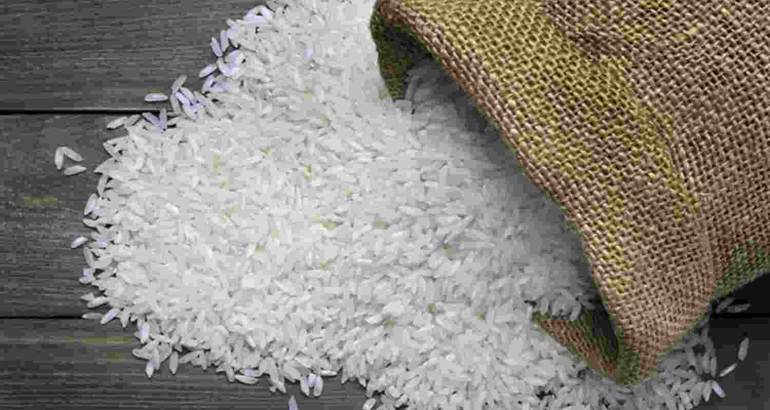 Representatives of the Indian Exporters Federation (IREF) said the government’s decision to make registration of non-Basmati rice with APEDA will bring in greater transparency in the export policy Representatives of the Indian Exporters Federation (IREF) said the government’s decision to make registration of non-Basmati rice with APEDA will bring in greater transparency in the export policy