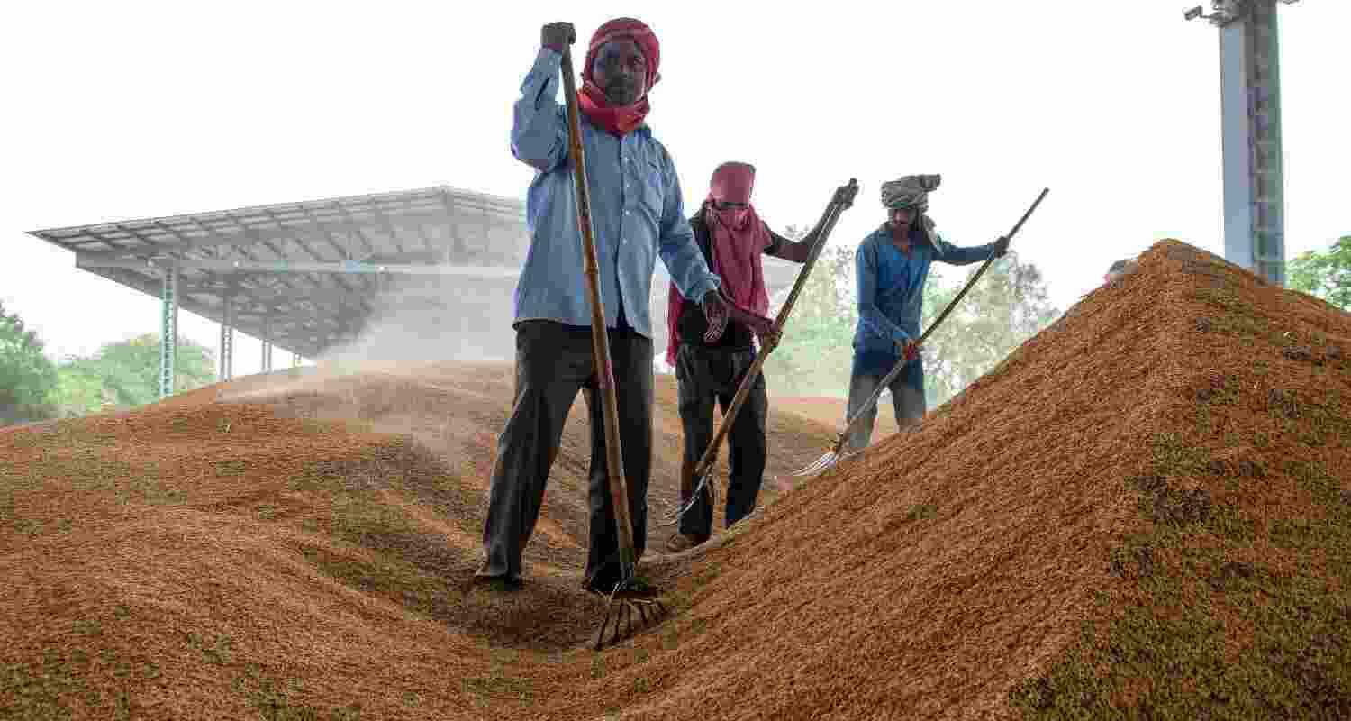 With an Indian delegation visiting Philippines early September, the Centre hopes to nudge the archipelagic country to buy more rice from India, which is the world’s largest rice exporter With an Indian delegation visiting Philippines early September, the Centre hopes to nudge the archipelagic country to buy more rice from India, which is the world’s largest rice exporter