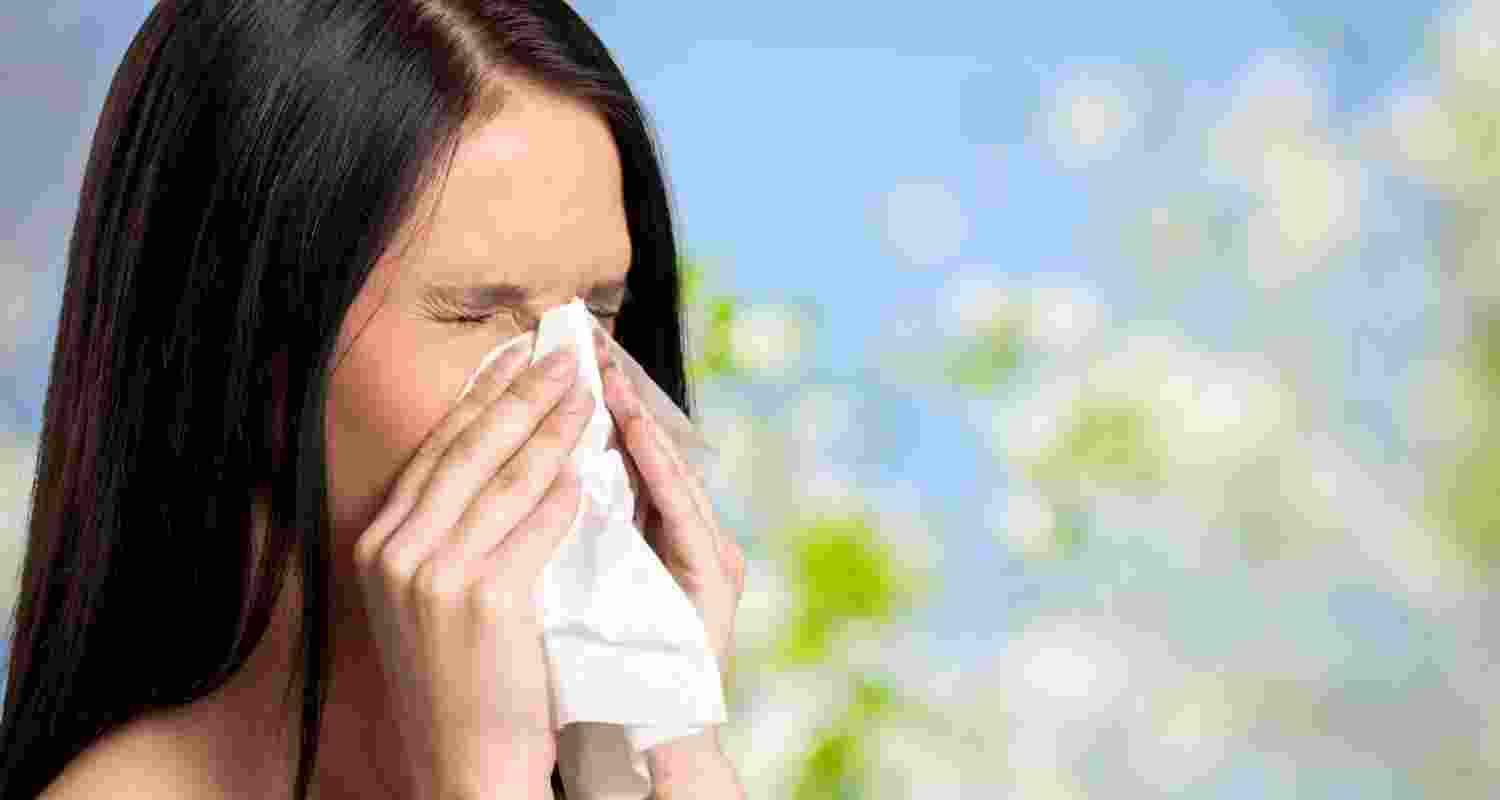 Decoding the link between hay fever, antihistamines and dementia Decoding the link between hay fever, antihistamines and dementia