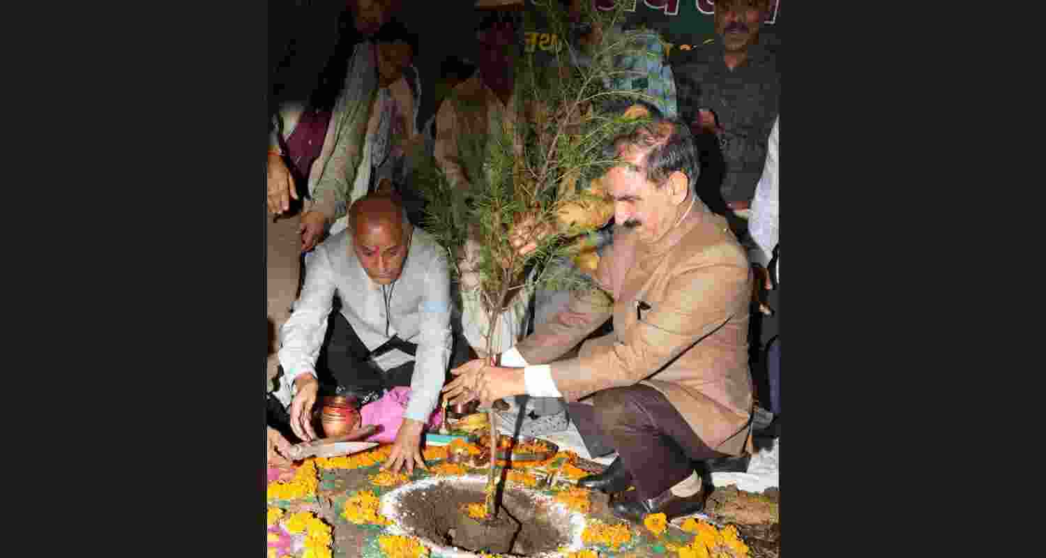 Himachal Pradesh Chief Minister Thakur Sukhvinder Singh Sukhu plants a deodar sapling during an event in Shimla. Himachal Pradesh Chief Minister Thakur Sukhvinder Singh Sukhu plants a deodar sapling during an event in Shimla.