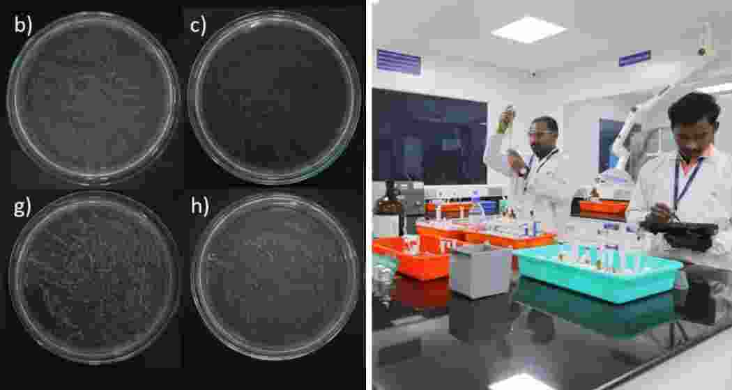 Scientists at IIT-Madras review computational models for fungal research. Scientists at IIT-Madras review computational models for fungal research.