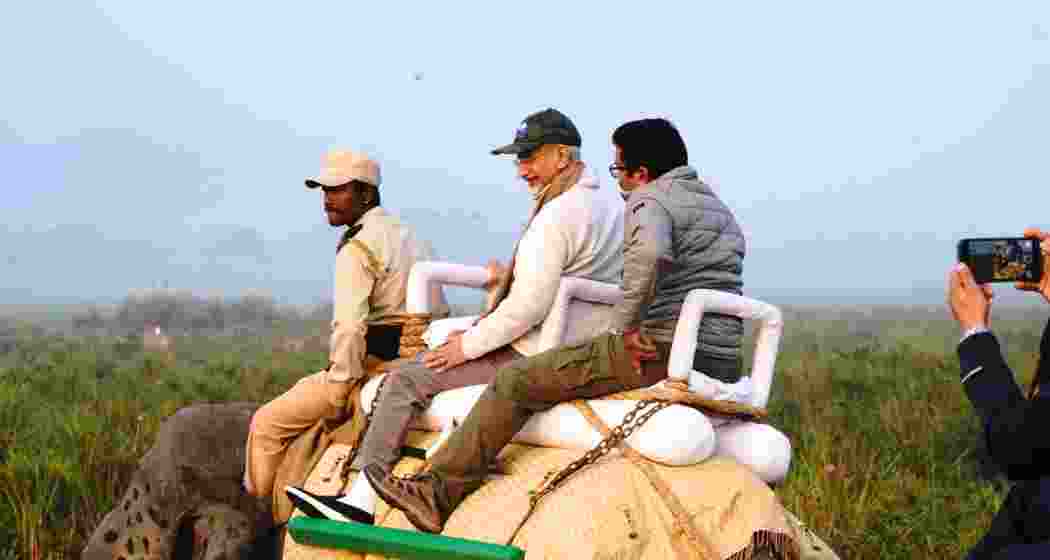 EAM S. Jaishankar explores Kaziranga National Park on an elephant safari, witnessing Assam’s rich biodiversity ahead of the Advantage Assam summit in Guwahati. EAM S. Jaishankar explores Kaziranga National Park on an elephant safari, witnessing Assam’s rich biodiversity ahead of the Advantage Assam summit in Guwahati.