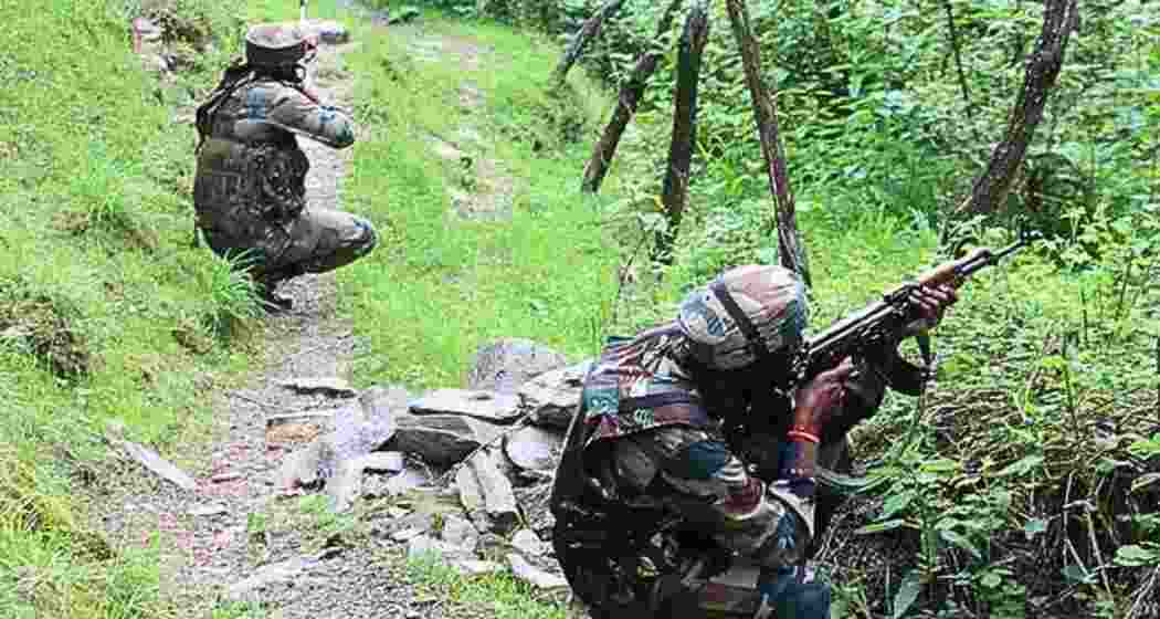 Image for representative use only. Image for representative use only.