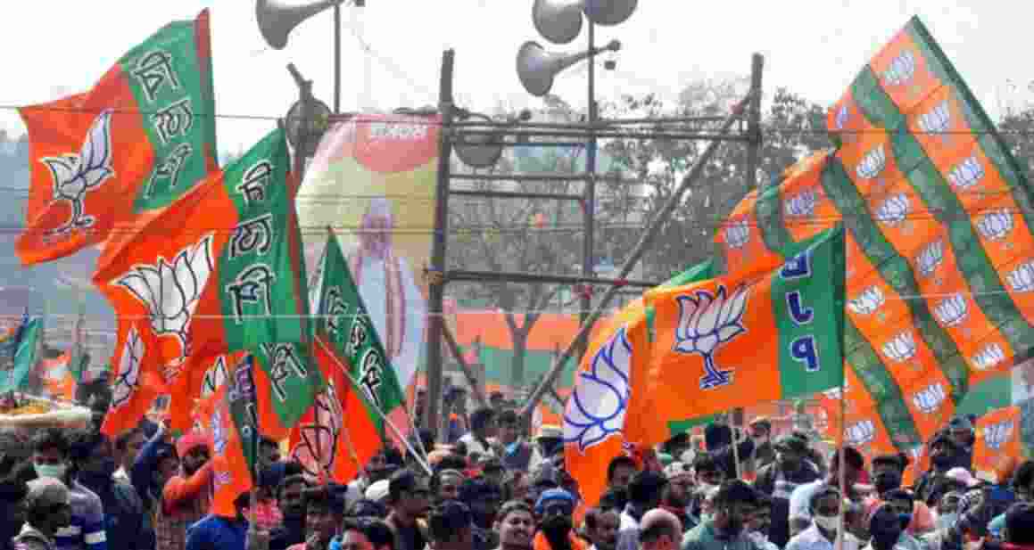 Bharatiya Janata Party flags. Bharatiya Janata Party flags.