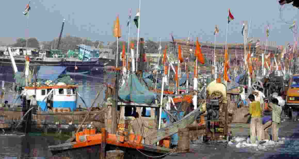 ₹50 crore central grant released to Gujarat under PMMSY ₹50 crore central grant released to Gujarat under PMMSY