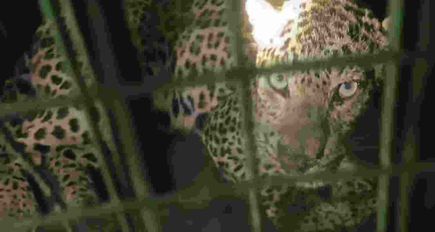 Representative Image. Representative Image.