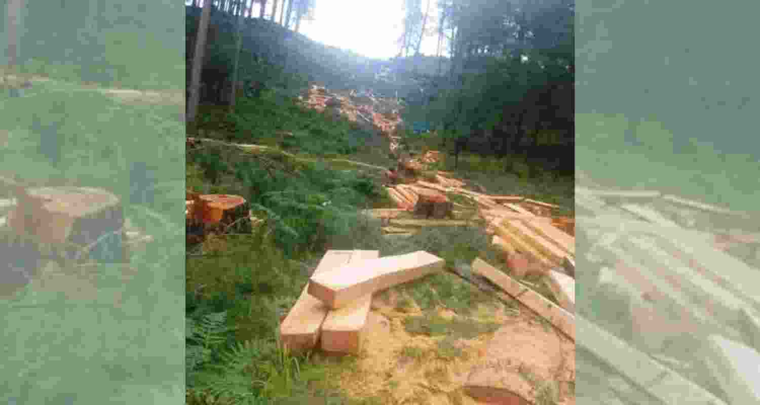 Local residents have been pointing to the large-scale felling of trees for the ropeway construction in the region as a main cause for rapid land subsidence. Local residents have been pointing to the large-scale felling of trees for the ropeway construction in the region as a main cause for rapid land subsidence.