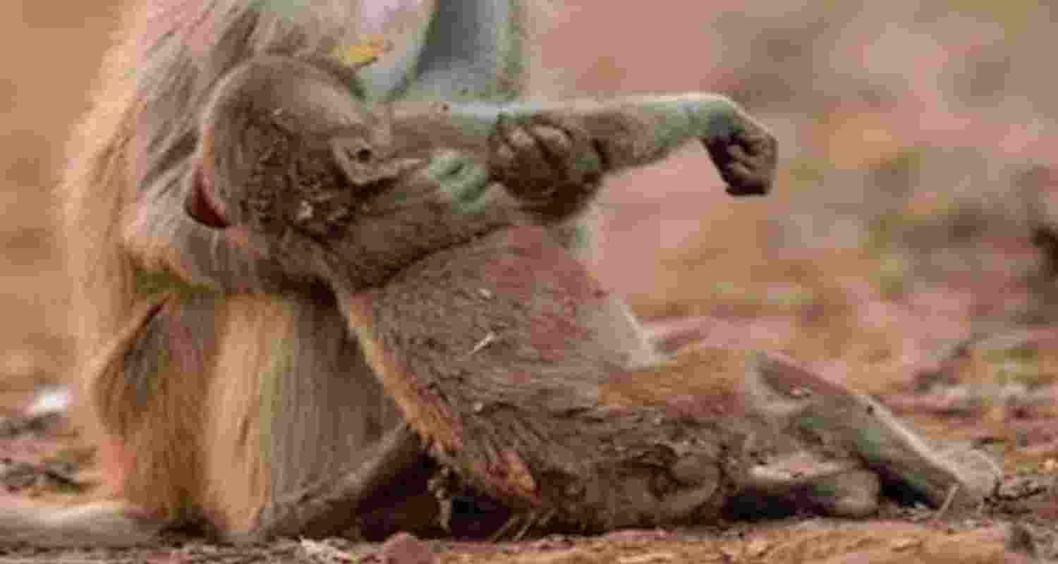 Representative Image. Representative Image.