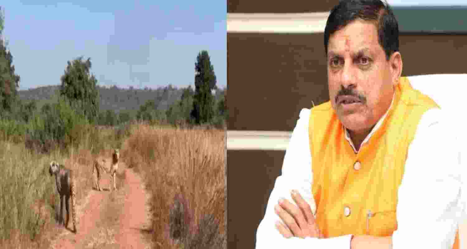 Madhya Pradesh Chief Minister Mohan Yadav. Madhya Pradesh Chief Minister Mohan Yadav.