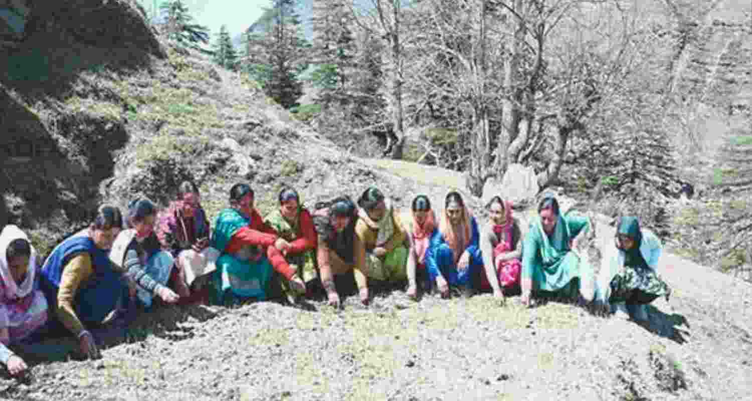 Pangi Valley becomes Himachal's first natural farming sub-division. Pangi Valley becomes Himachal's first natural farming sub-division.