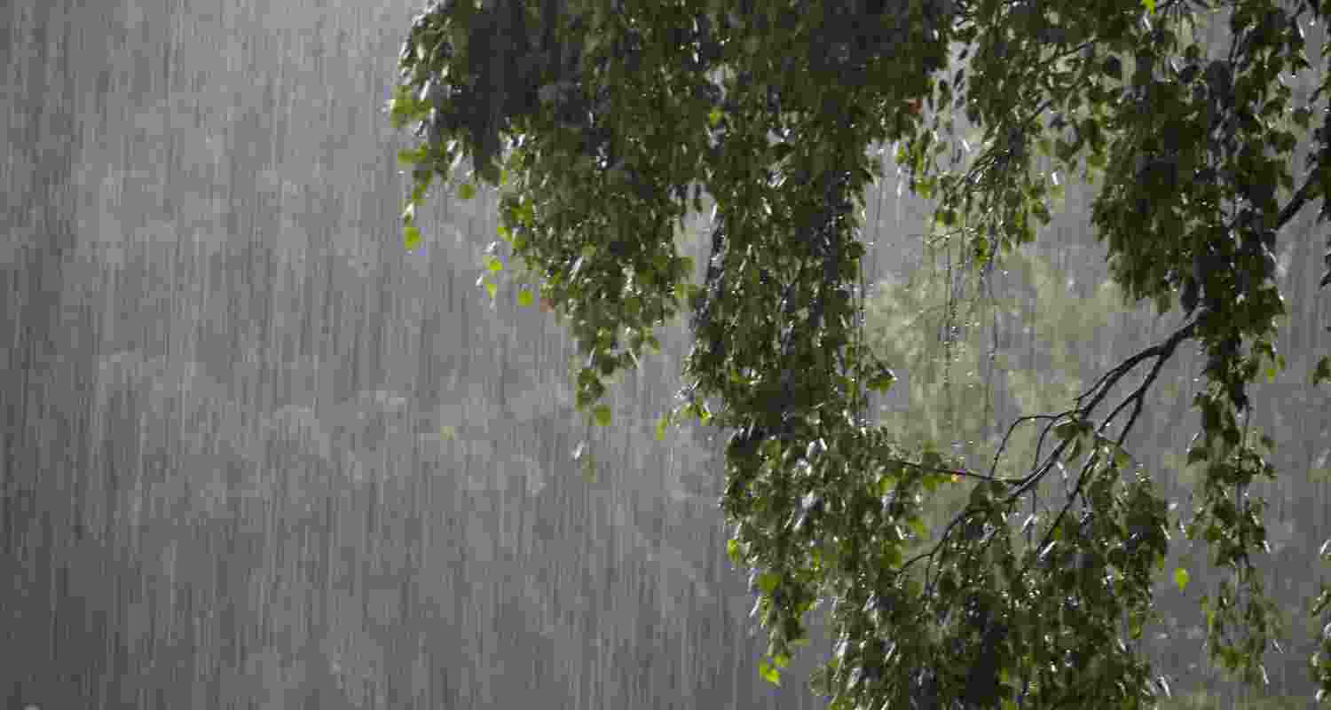 Representative Image. Representative Image.