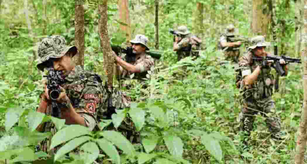 The operation involved the District Reserve Guard (DRG) from three districts, five CoBRA battalions, and the 229th CRPF battalion. The operation involved the District Reserve Guard (DRG) from three districts, five CoBRA battalions, and the 229th CRPF battalion.
