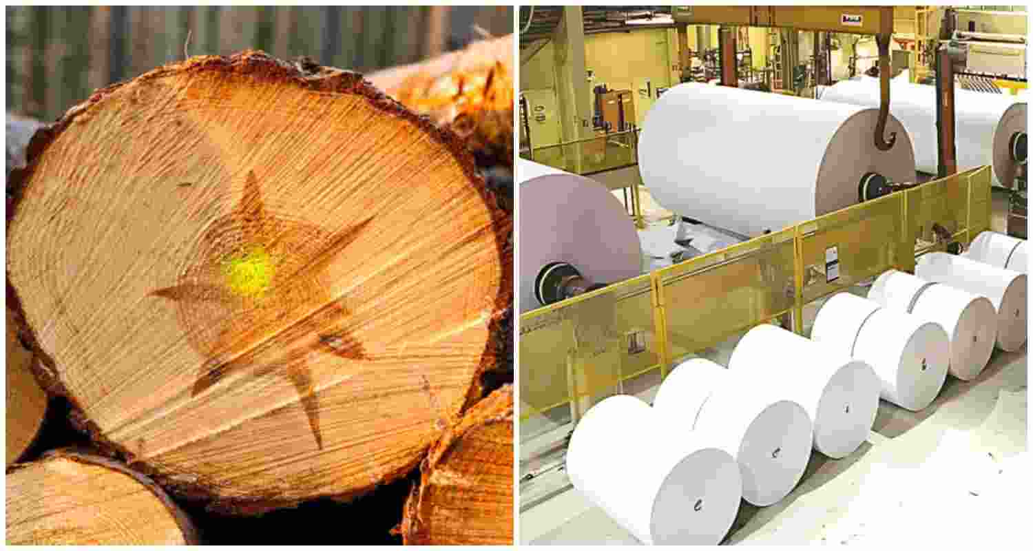 Image for representative use only. Image for representative use only.