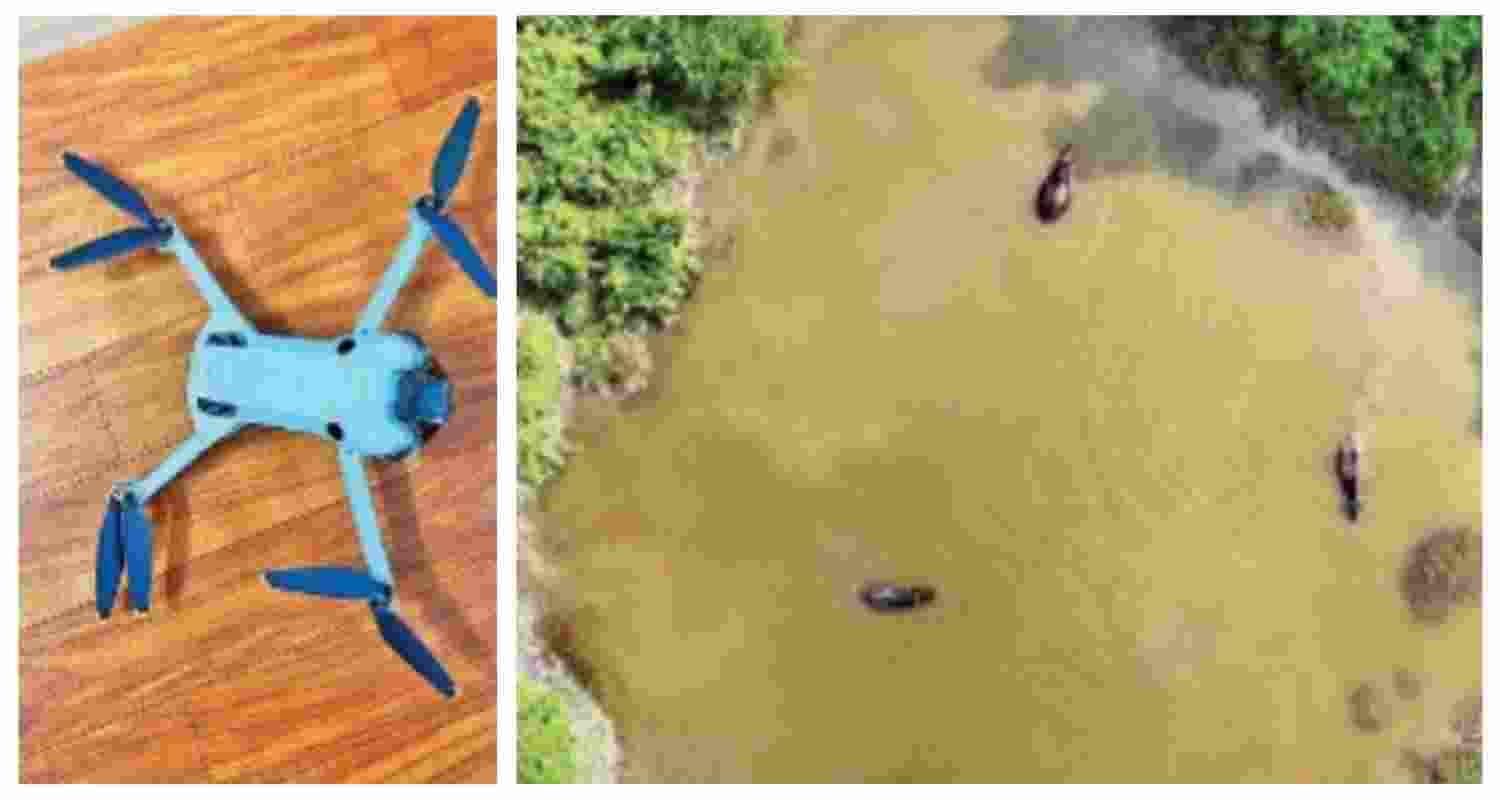 A drone view of Jaldapara National Park. Photo credit - NAI correspondent. A drone view of Jaldapara National Park. Photo credit - NAI correspondent.