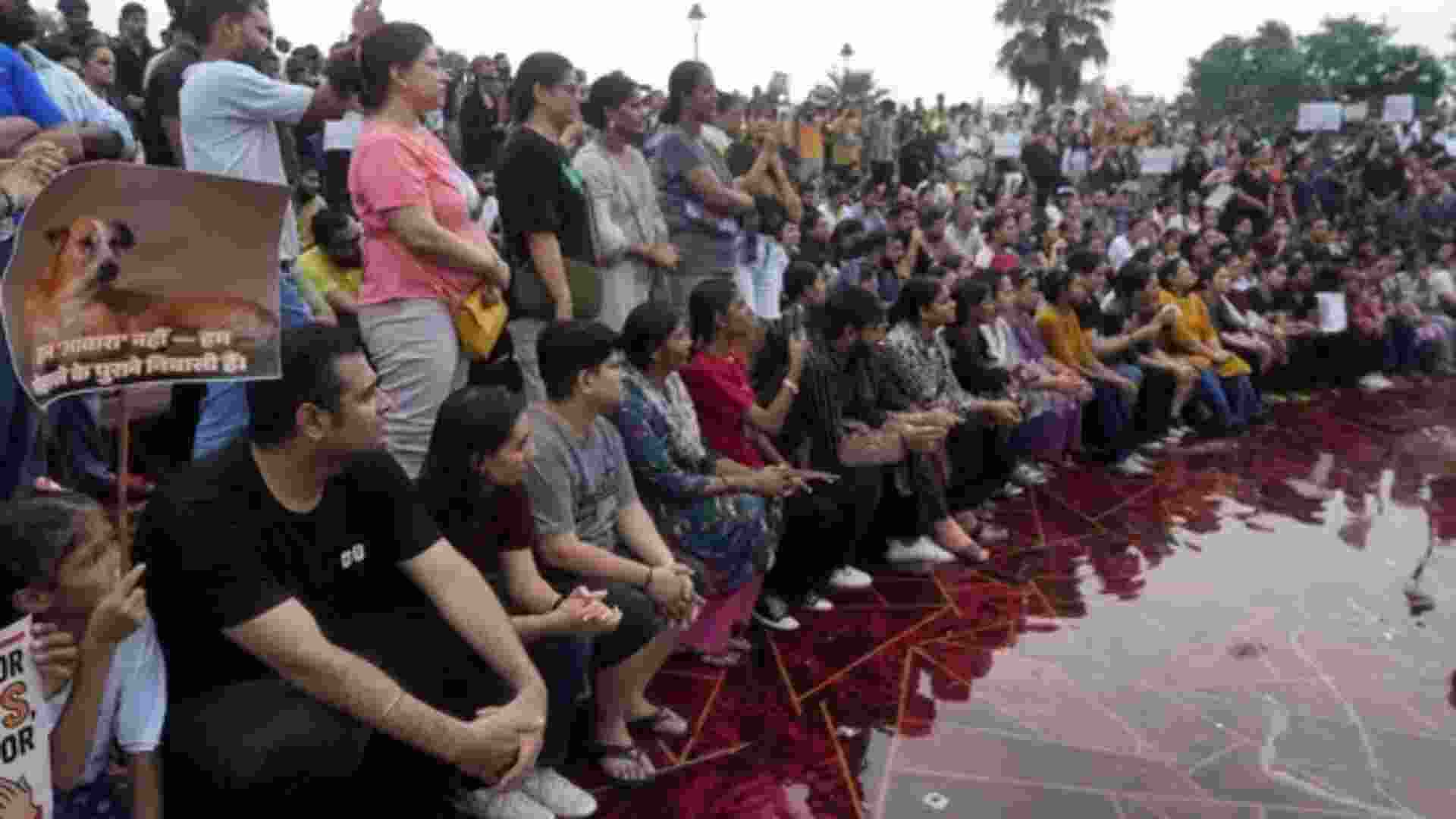 SC order on stray dogs:Delhi CM says refrain from 'harsh action' SC order on stray dogs:Delhi CM says refrain from 'harsh action'