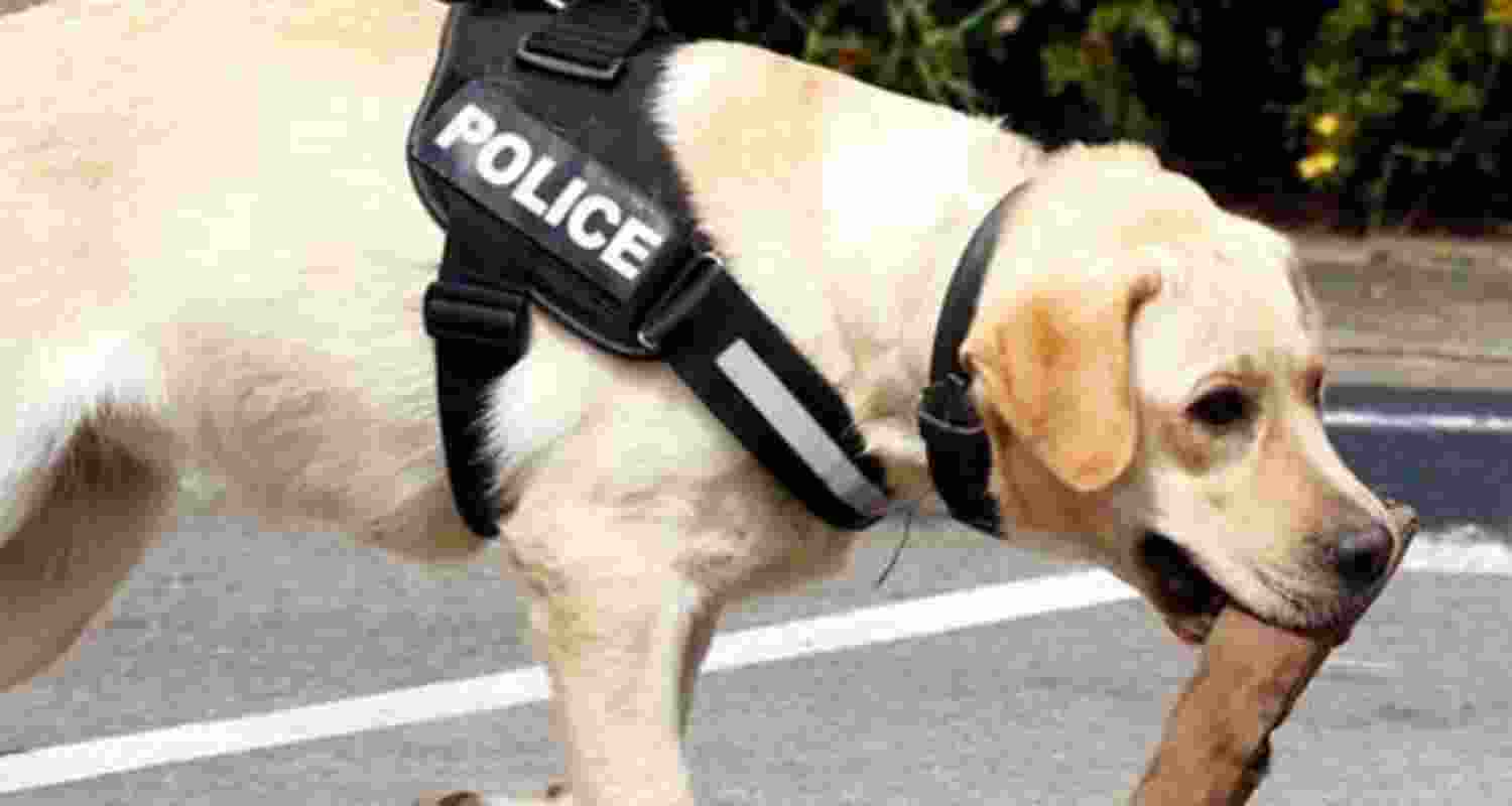 Representative Image. Representative Image.